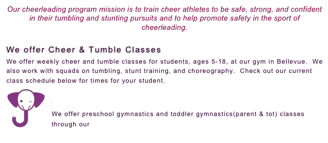 Tiger Tumble & Cheerleading and Tumble classes